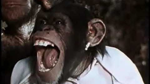 Lancelot Link The Great Bank Robbery