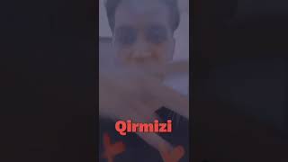 Obamiz Türk Yaşasin Elimiz