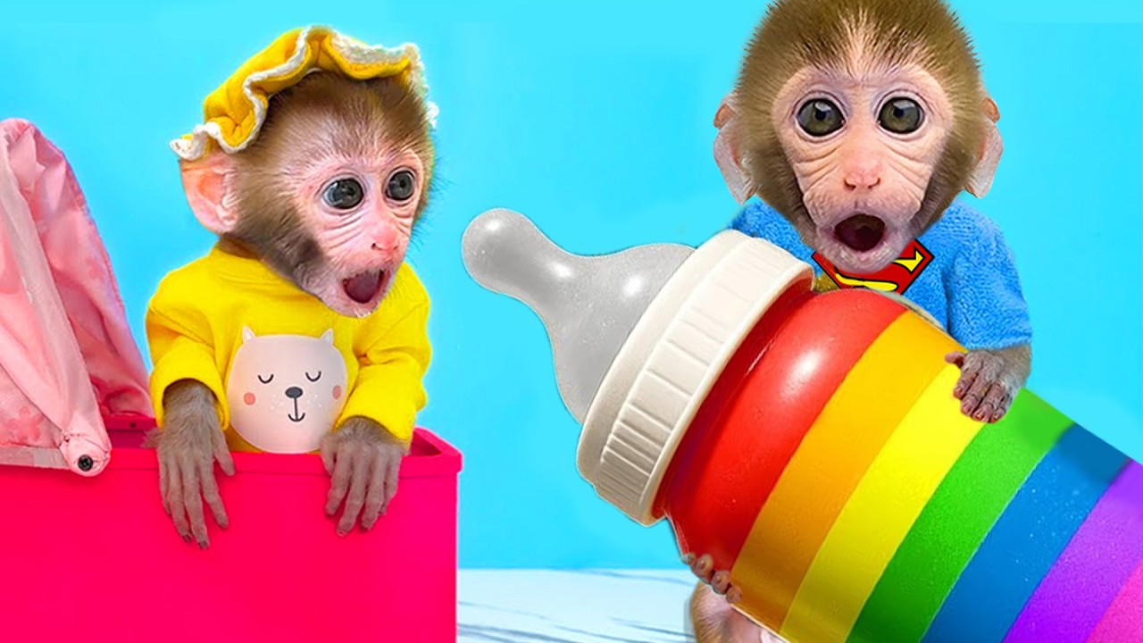 Bebé Mono GoGo Cuida Él Solo A Su Lindos Hermanito Para Que Se Cure!  - Gogo ESP