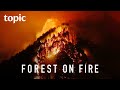 The Oregon Eagle Creek Fire | Topic