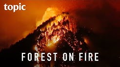 The Oregon Eagle Creek Fire | Topic