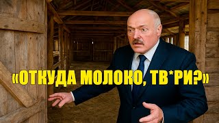 «Ферма без коров» — Лукашенко проверил двор, а доить оказалось некого