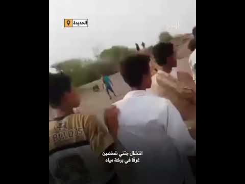 مناشدات واستغاثات من المهرة