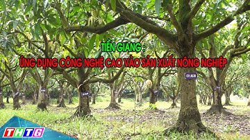 Tiền Giang đẩy mạnh ứng dụng công nghệ cao vào sản xuất nông nghiệp
