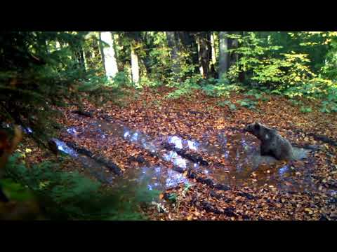 რა მოქმედებაა? რა ვითარებაა?