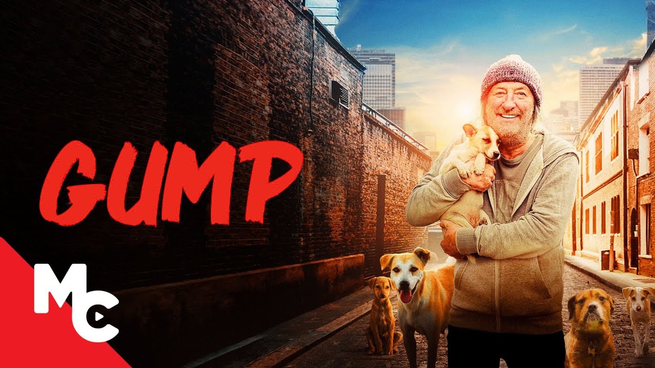 Gump | Stray Dog Family Movie | Beautiful Loving Family Movie