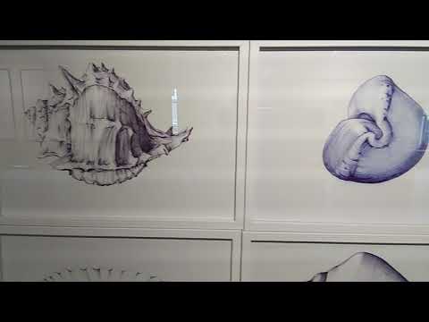 Kunstforum Gotha Ausstellung Lebensraume Teil 3 Youtube