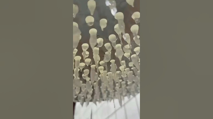 이렇게 맛있는데 왜 몰랐을까 숨겨진 올챙이 국수의 매력