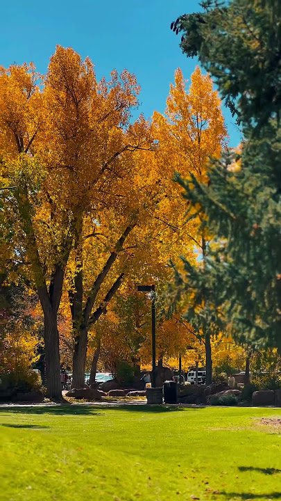 Fall Season at UW