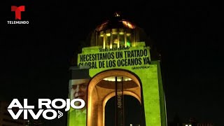Greenpeace exige al gobierno mexicano la protección de sus mares con inmenso anuncio