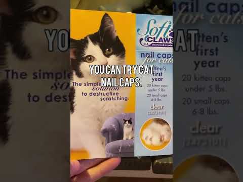 Video: Cat Claw Caps: Adakah Cat Nail Caps adalah Alternatif yang Baik untuk Declawing?
