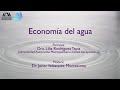 Economía del agua