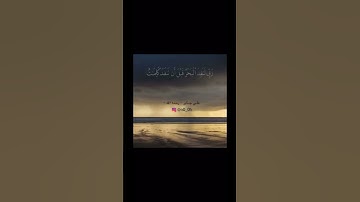 تلاوة خاشعة للشيخ علي جابر { قُل لَّوْ كَانَ الْبَحْرُ مِدَادًا لِّكَلِمَاتِ رَبِّي }