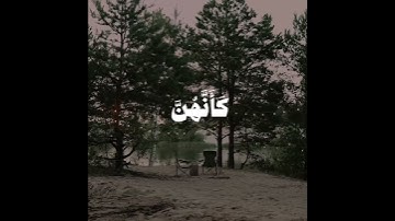 علي جابر❤ #اكسبلور #راحة_نفسية #راحه_نفسيه #لايك #علي_جابر #القارئ_علي_جابر_رحمه_الله