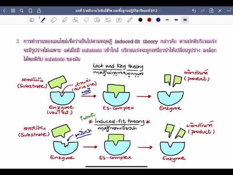 วีดีโอ: ตรงกันข้ามกับตัวยับยั้งคืออะไร?