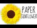 How to make a flower from coffee filters  diy paper sunflower