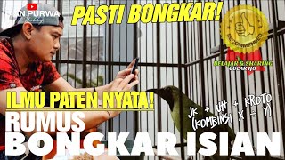 NYATA❗BANYAK DICARI PENJELASAN NYATA CUCAK IJO BONGKAR ISIAN🔥|| KUPAS DISINI RUMUS BONGKAR ISIAN