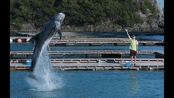 映画『ボクはボク、クジラはクジラで、泳いでいる。』予告