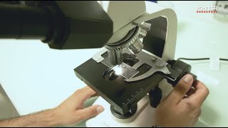 (SUB ITA) NonSacWine - Innovazione delle produzioni enologiche e miglioramento della loro qualità