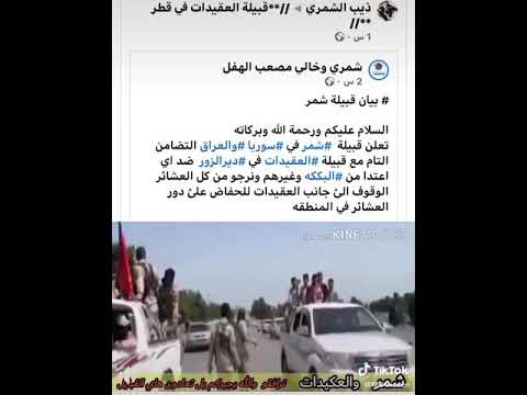 كفو من شمر خرجو لمؤازت العقيدات