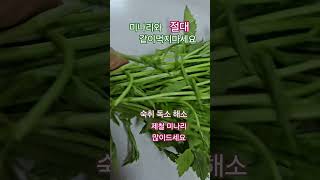 #미나리와 절대 같이 먹지마세요 #건강 #음식 #힐링 #food
