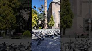 KAYSERİ CITY Walking Tour/HDR 4K/ #kayseri #cudi_vlogs 2025