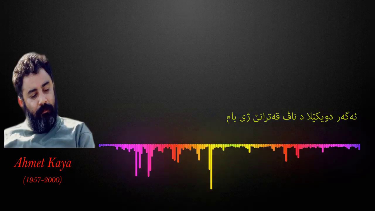 Ahmet Kaya Su Daglarda Kar Olsaydim