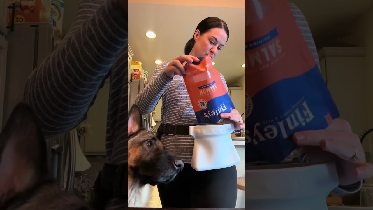 Ultimate Treat Pouch for Effortless Dog Training! 