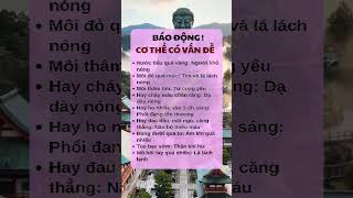 Gỡ Rối Cuộc Sống Lời Phật Dạy Thực Tế Giúp Bạn An Yên Giữa Đời Thường Đầy Biến Động.