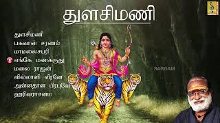 இருமுடிக்கட்டு சபரிமலைக்கு | Irumudikattu Sabarimalaikku Sabarimalai Yathirai Tamil | Ayyappa Songs