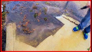 Pressure Washing The Driveway - Satisfying!