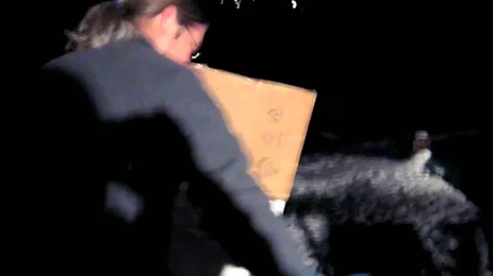 leonard erickson patio sledding.mp4