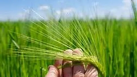 Abib 1 Meeting Part 1 Scott Witman Scriptures On C...