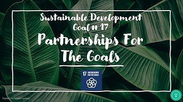 Explore: Sustainable Development Goal #17 Partnerships for the Goals
