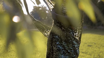 Atike Afrika - Fashion Designer Irene Selorm Abiti