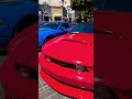 Mustang meet car viral 2024 2024 epic fyp