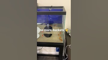 Easy water changes