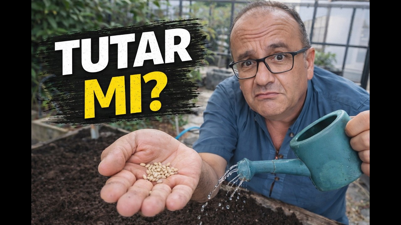 Kamboçya'da Türk Tohumuyla Hobi Bahçesi Yaptım! Acaba Tohumlar Çıkacak mı?