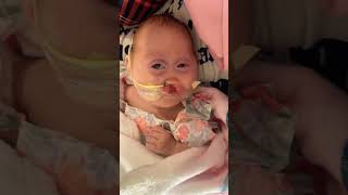 This is Aria. You may have seen her on my page on TikTok! #youtubeshorts #viralvideo #shorts #fyp