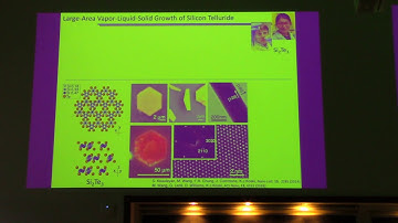 MSNE Seminar: Kristie Koski - 2D Materials