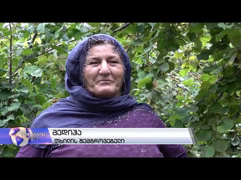 სირიიდან თურქეთში ჩასული ქურთი ლტოლვილების მდგომარეობა