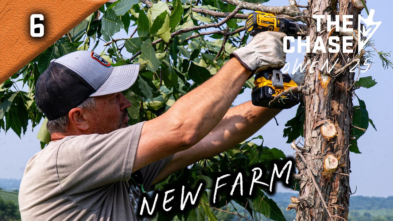 8-3-25: Trail Cameras And Mock Scrapes On The New Farm With Owen