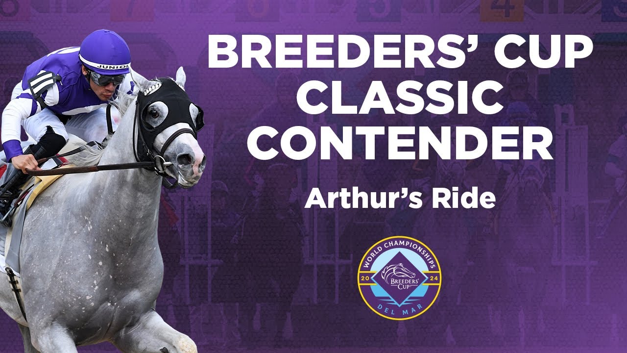 2024 Breeders' Cup Classic Spotlight - Arthur's Ride - YouTube