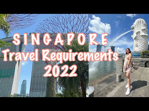 Melbourne to Singapore Travel Requirements | Singapore Itinerary Day 1