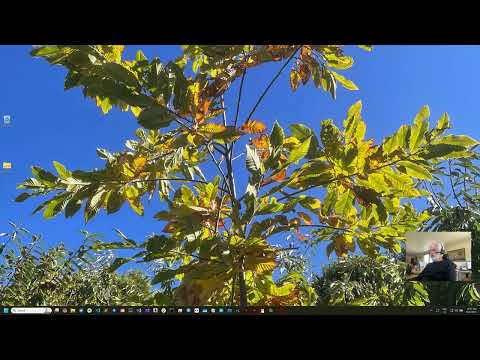 PluginInstaller: Installing on Windows
