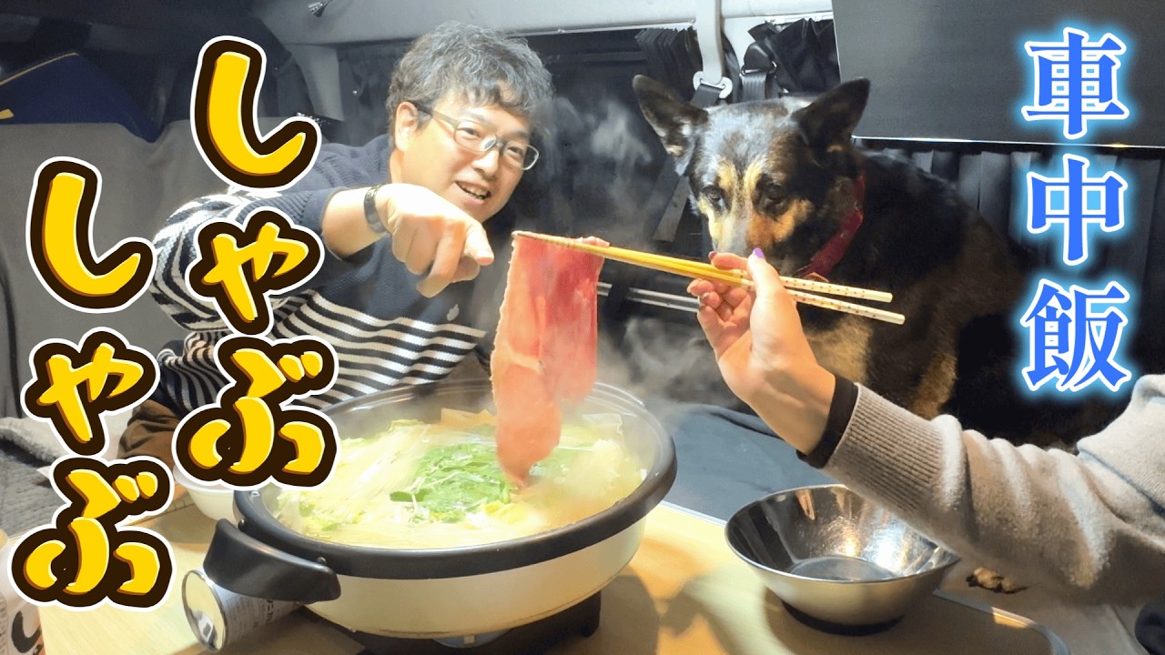 愛犬と淡路牛しゃぶしゃぶ中に、とんでもないことが発覚しましたw【ジャーマンシェパード】