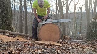 N8S Stihl ms 469e, 460/660 hybrid in some good red oak, bar buried, no dogs.