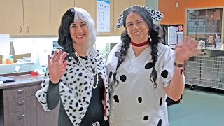 Cruella de Vil takes over Companion Animal Hospital for Halloween! by Helen Woodward Animal Center 42 views 6 months ago 32 seconds