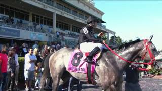 X Y Jet Set for Gulfstream Park Sprint
