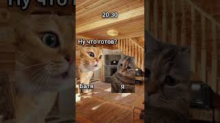 Дача 4 Часть #Коты #Мемныекоты #Рек #Реки #Топ #Рекомендации #Montagevideo #Meme #Fypシ